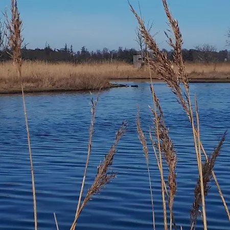 Terrassen-fewo-ankerplatz-direkt-am-ostseestrand Lejlighed *