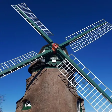 Terrassen-fewo-ankerplatz-direkt-am-ostseestrand Lejlighed *